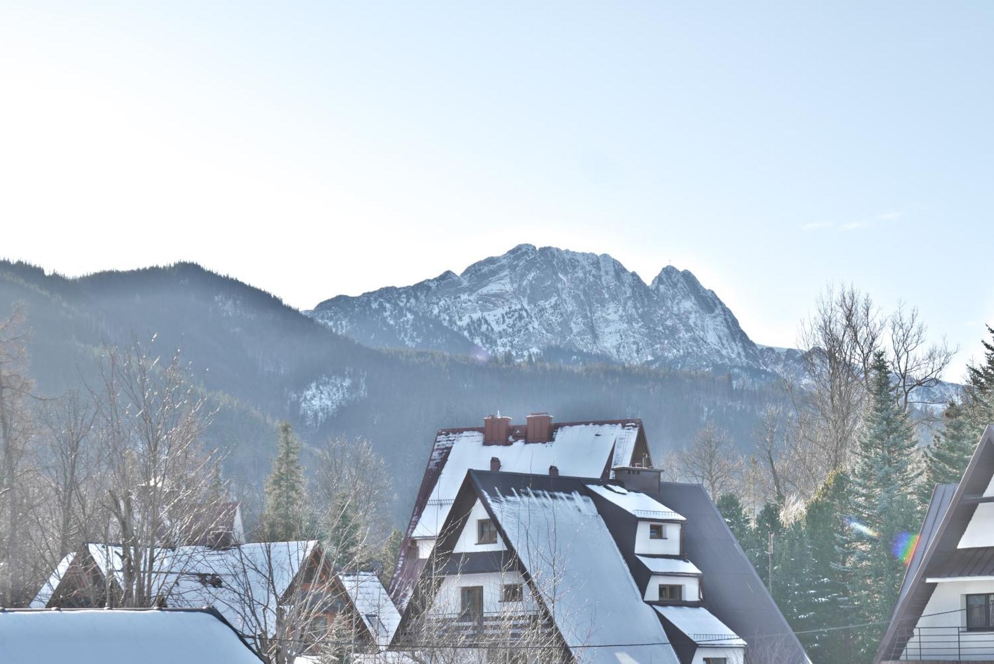 Willa Cicha Zakopane Bagian luar foto
